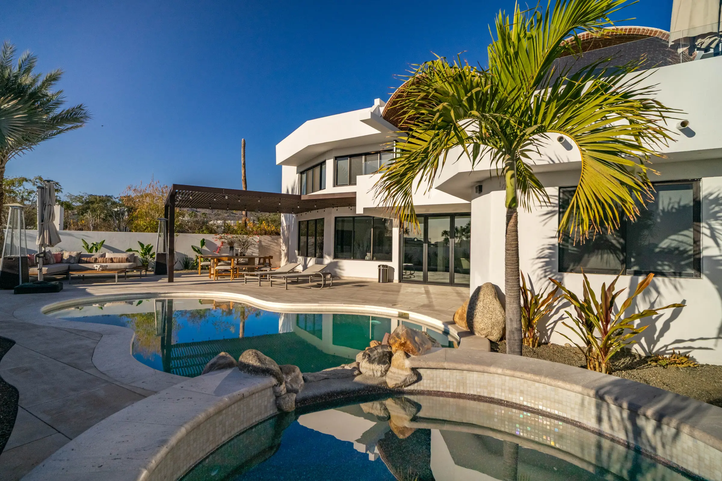 Palms around the villa's pool